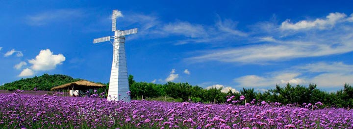 鄉村旅游規劃院:藍調薰衣草莊園旅游規劃鳥(niǎo)瞰圖