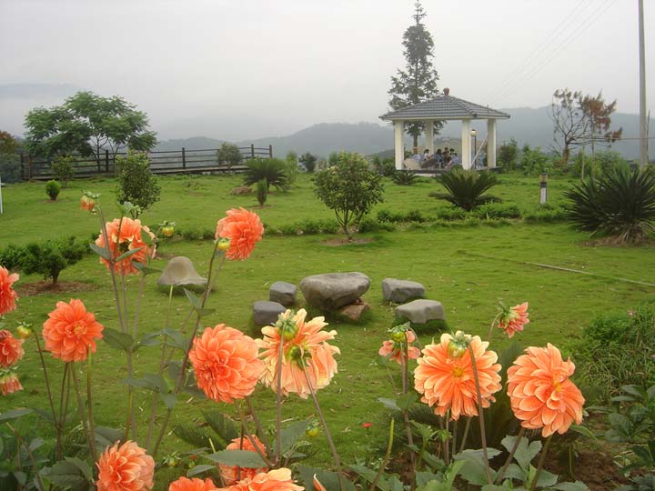 鄉村旅游體驗視覺(jué)設計