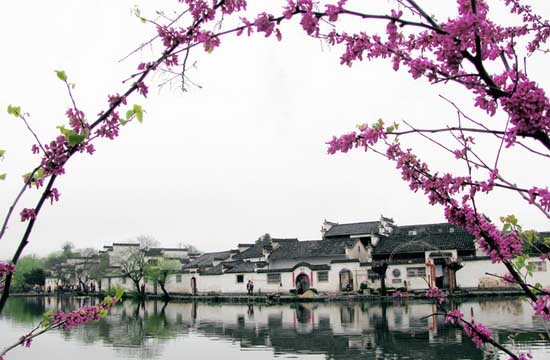 旅游規劃