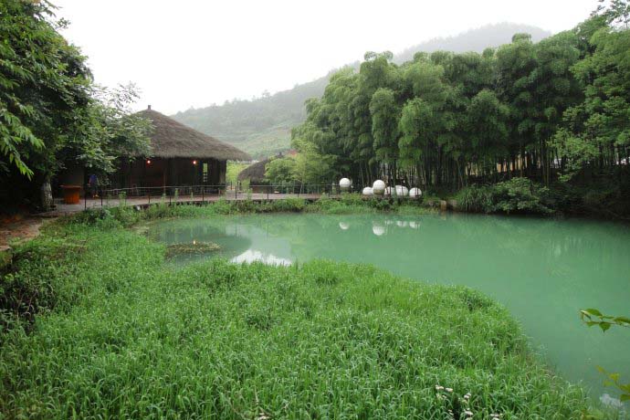 度假地產(chǎn)項目旅游規劃設計院:裸心谷茶園旅游規劃實(shí)景