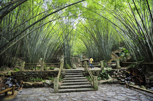 山地旅游規劃院:深圳東部華僑城因地制宜旅游規劃的竹樂(lè )谷