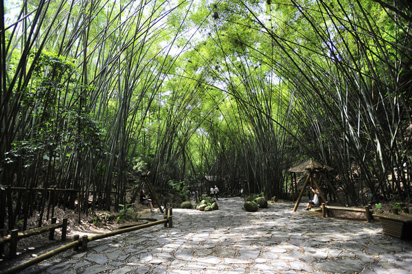 山地旅游規劃院:深圳東部華僑城竹樂(lè )谷因地制宜進(jìn)行旅游規劃