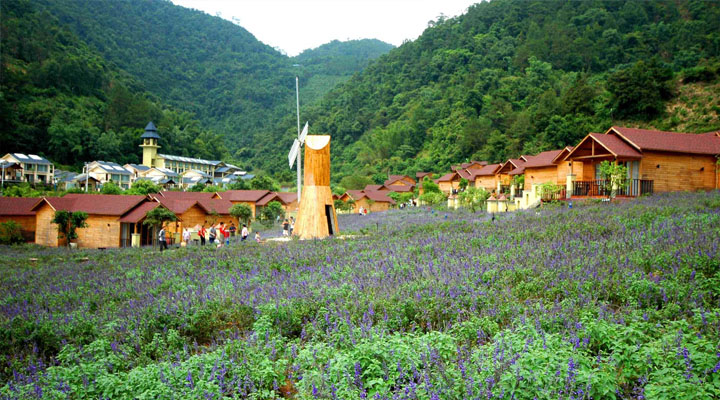 盤(pán)龍峽生態(tài)旅游區木屋旅游規劃采用大面積玻璃窗