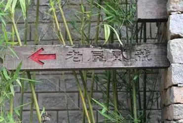 霸王嶺雨林老屋酒店景觀(guān)設計